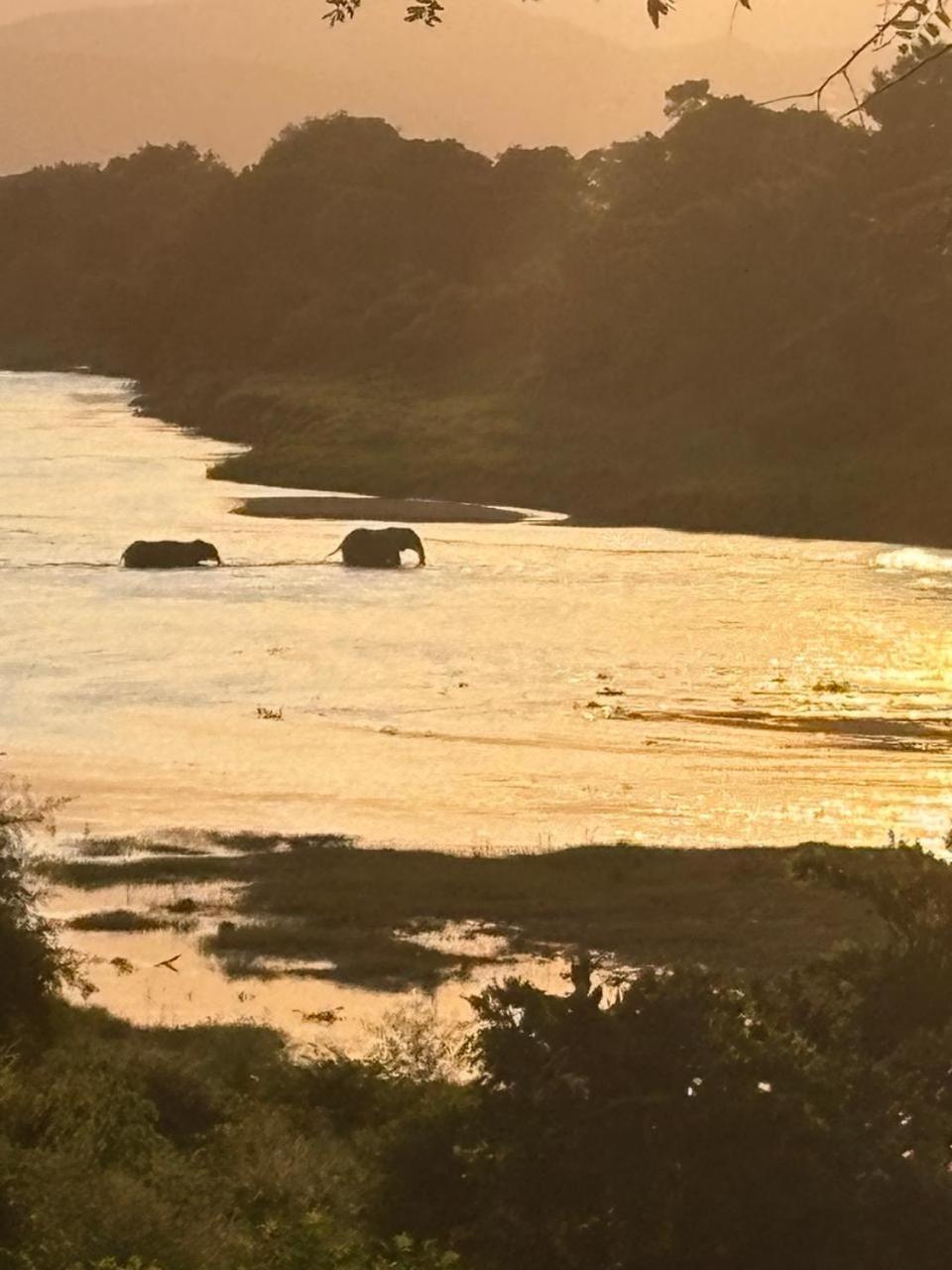 Rio Vista Lodge *